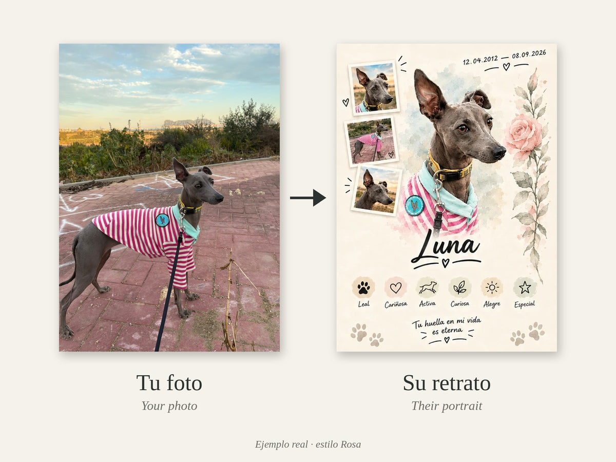 Antes y después: foto real de Luna convertida en retrato estilo Rosa
