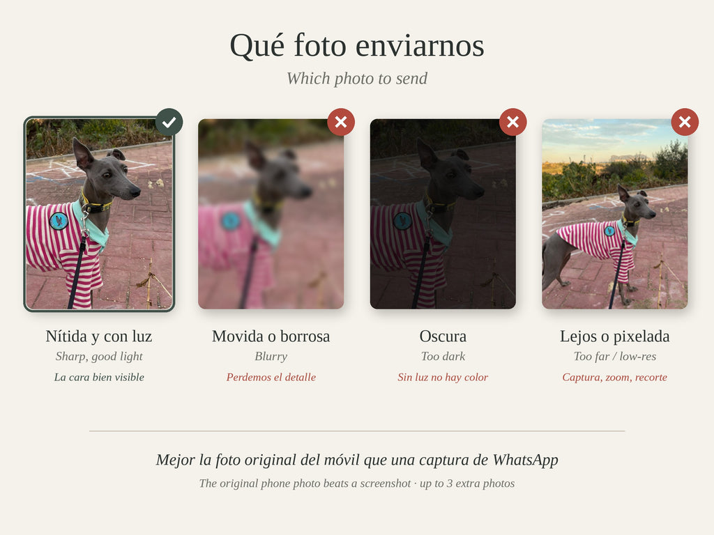 Qué foto enviar: nítida y con luz; evita fotos borrosas, oscuras o lejanas